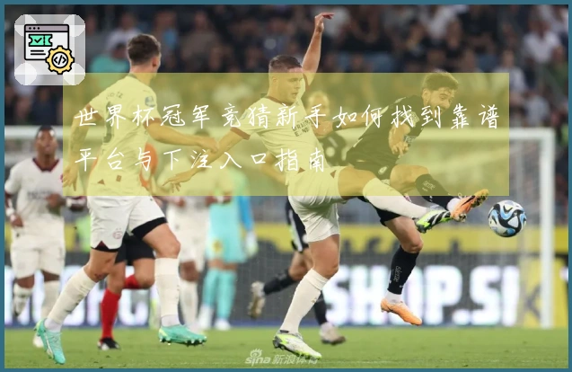 世界杯冠军竞猜新手如何找到靠谱平台与下注入口指南