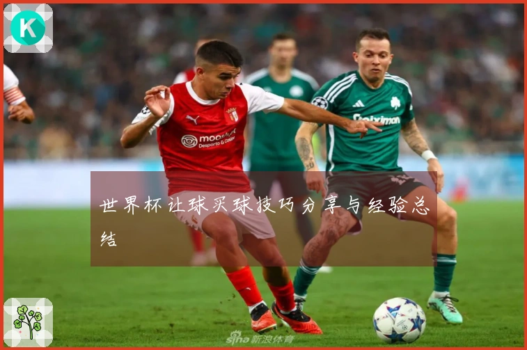 世界杯让球买球技巧分享与经验总结